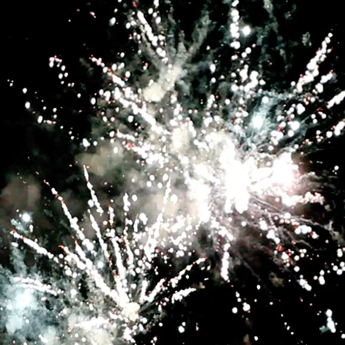 Esqueletos Explosivos⢠49 Shots Standard Aerials - Image 2