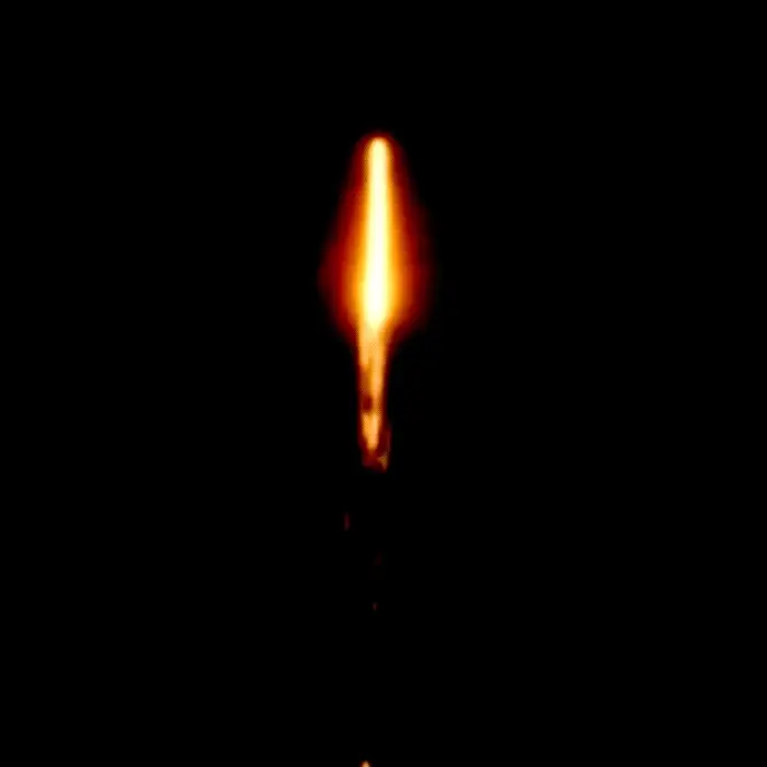 Magic Blooms™ 10 Shot Roman Candles - Image 2